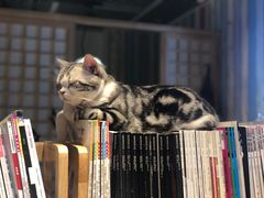 -小时光咖啡馆(开森度假森林店)