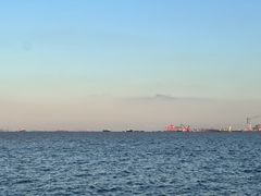 -吴淞炮台湾湿地森林公园烧烤区