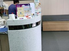 -半岛宠物医院24小时(科华中路店)