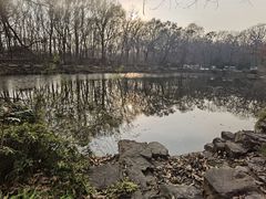 -灵谷景区