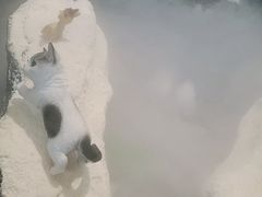 -将太无二·北美传奇寿司(荟聚购物中心西红门店)