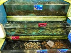 水产区-旺富东海大酒楼(海鲜街店)