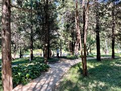 -元大都城垣遗址公园