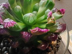-肆月河豚·淮扬菜·湘菜(华天店)