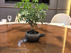 -青雅中餐厅(大连金石滩绿发希尔顿度假酒店)