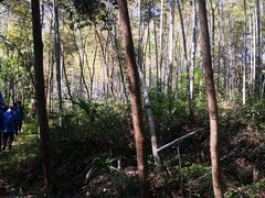 -福清灵石山国家森林公园