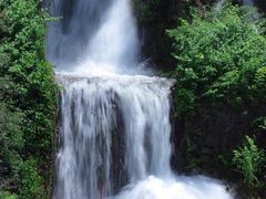 -杨家堂村