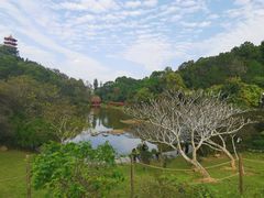 -深圳仙湖植物园