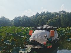 -北陵公园