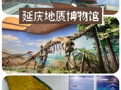 -延庆地质公园博物馆