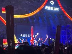 -云南民族村