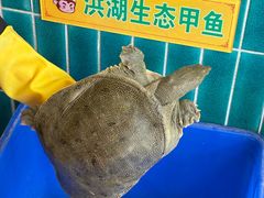 -大圣甲(汉口店)