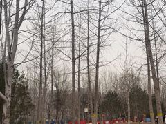 -回龙观体育文化公园