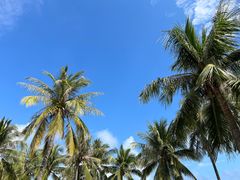 -日月湾海门游览区