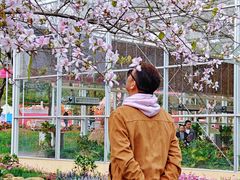 -盈香心动乐园