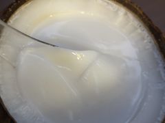 -椰爺爺·椰子冻砵仔糕