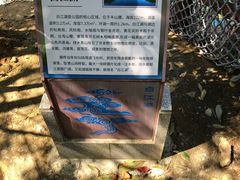 -广州白江湖森林公园