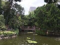 -叶家花园