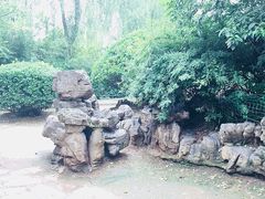 -洛阳市牡丹公园