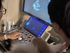 -半岛宠物医院24小时·内窥镜·牙科·碎石中心(府城大道店)