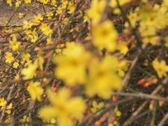 -北京十三陵国家森林公园蟒山景区