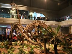 -自贡恐龙博物馆