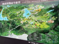 -深圳仙湖植物园