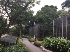 -新加坡飞禽公园