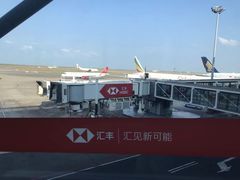 -奈良公园