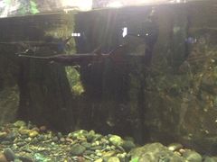 -重庆欢乐海底世界