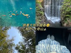 -大奇山国家森林公园