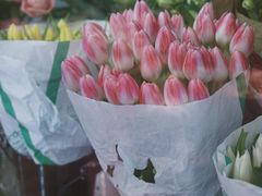 -双季花艺园艺市场(浦东店)