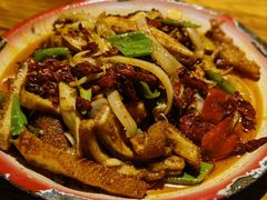 -柴窝堡22号辣子鸡·传承新疆菜