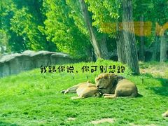 -北京野生动物园