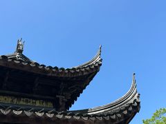 -长广溪湿地公园