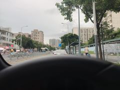 -云海肴·汽锅鸡·云南菜(高德置地店)