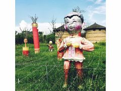 -杭州湾海上花田景区