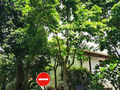 -天悦阁海景酒廊