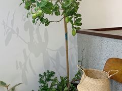 -肥朵食堂(带梦胡同店)