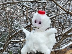 -敬亭山风景名胜区