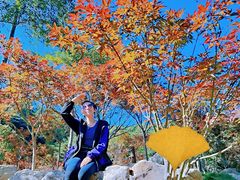 -广州市帽峰山景区