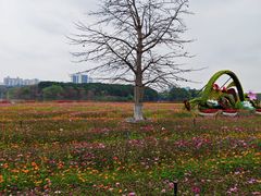 -海珠湖公园