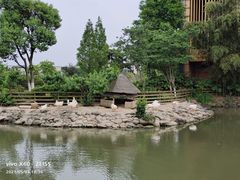 -田园东方蜜桃村的田野营地