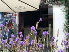 -西涌国际滨海旅游区