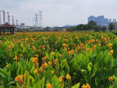 -那考河湿地公园