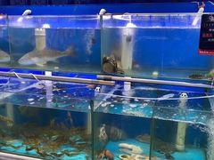 水产区-船梆煮•蒸汽海鲜·炉火烤肉(五四广场店)