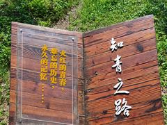 -东平国家森林公园