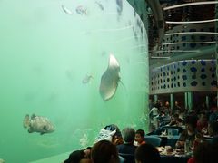 -瑞德姆美人鱼海底演艺主题餐厅(亚龙湾店)