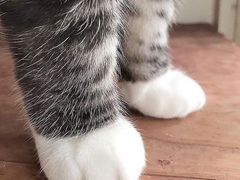 -青岛海尔洲际酒店