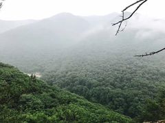 -五女峰国家森林公园